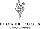 Flower Roots - Inicio